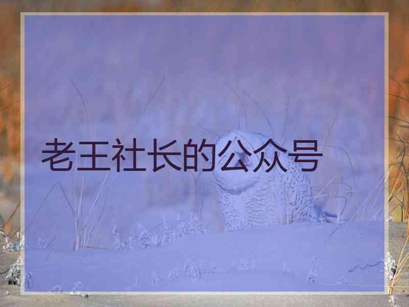 老王社长的公众号 老王社长的公众号
