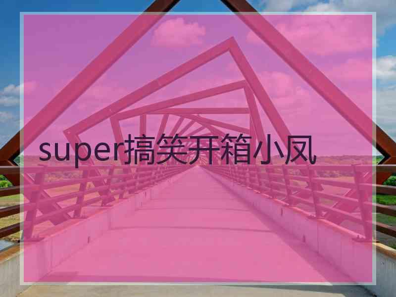 super搞笑开箱小凤 super搞笑开箱小凤