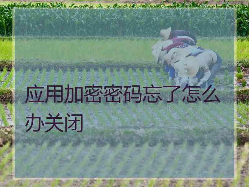 应用加密密码忘了怎么办关闭 应用加密密码忘了怎么办关闭