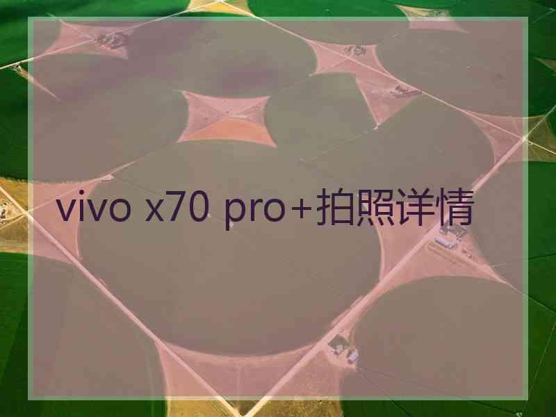 vivo x70 pro+拍照详情 vivo x70 pro+拍照详情