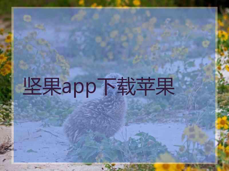 坚果app下载苹果 坚果app下载苹果
