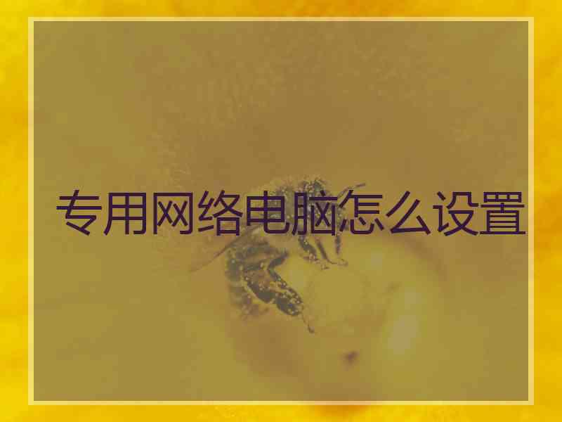 专用网络电脑怎么设置 专用网络电脑怎么设置