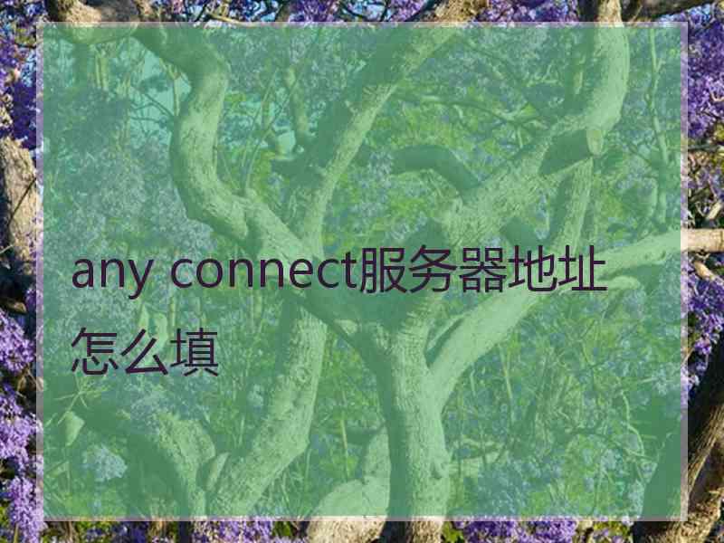 any connect服务器地址怎么填 any connect服务器地址怎么填