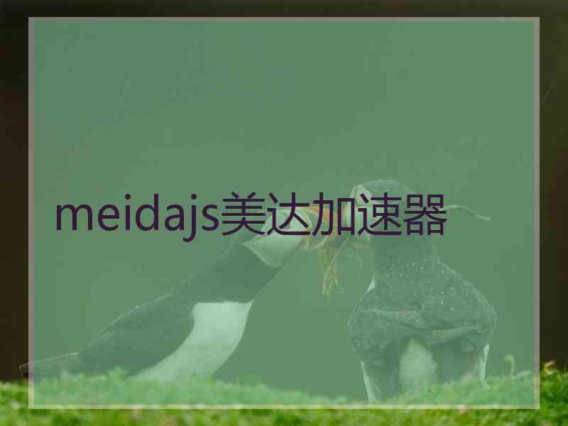 meidajs美达加速器 meidajs美达加速器