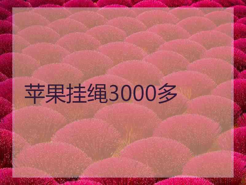 苹果挂绳3000多 苹果挂绳3000多