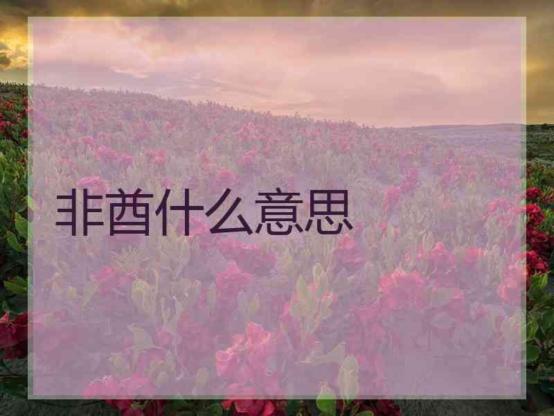 非酋什么意思 非酋什么意思