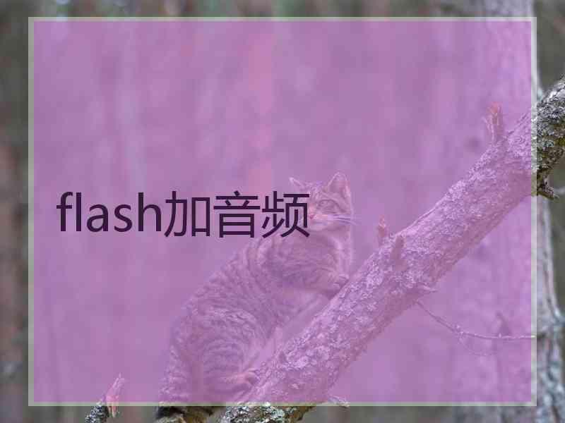 flash加音频 flash加音频