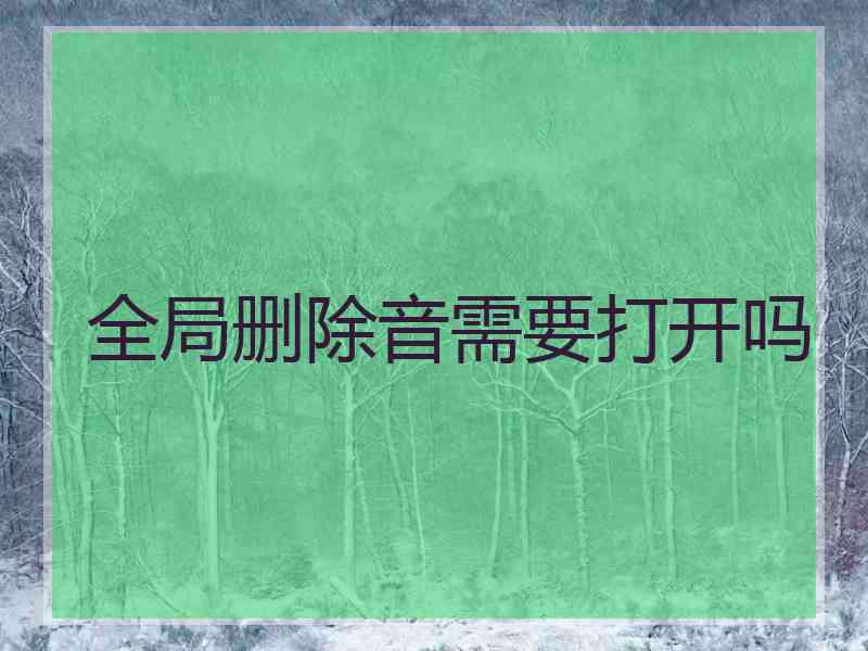 全局删除音需要打开吗 全局删除音需要打开吗