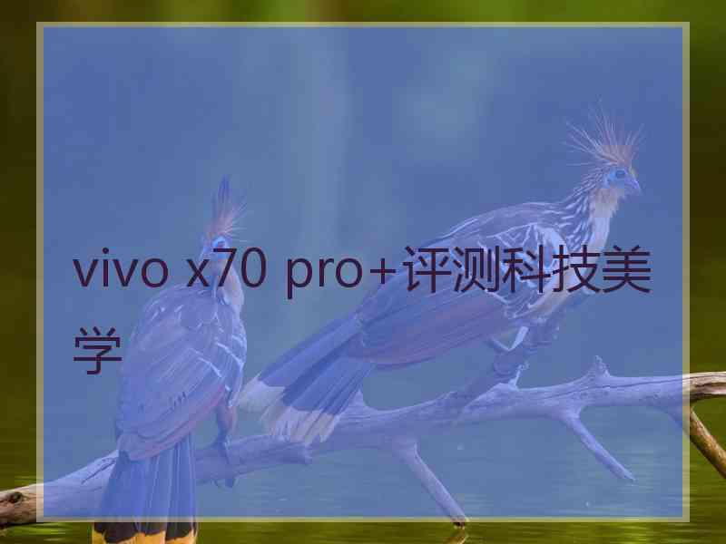vivo x70 pro+评测科技美学 vivo x70 pro+评测科技美学