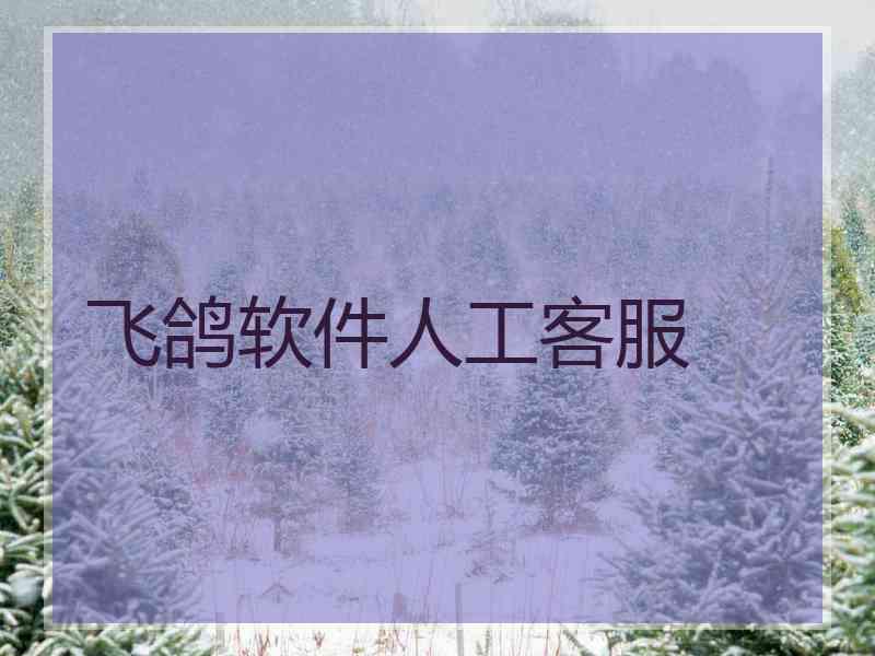飞鸽软件人工客服 飞鸽软件人工客服