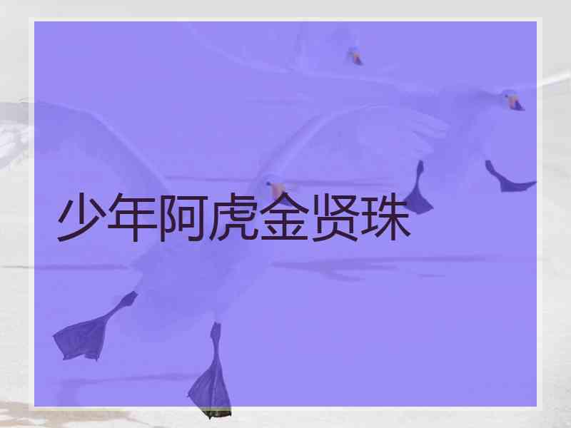 少年阿虎金贤珠 少年阿虎金贤珠