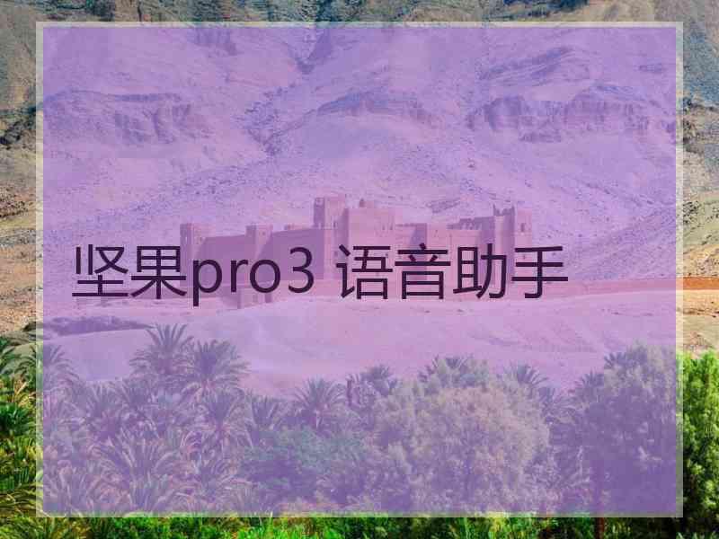 坚果pro3 语音助手 坚果pro3 语音助手