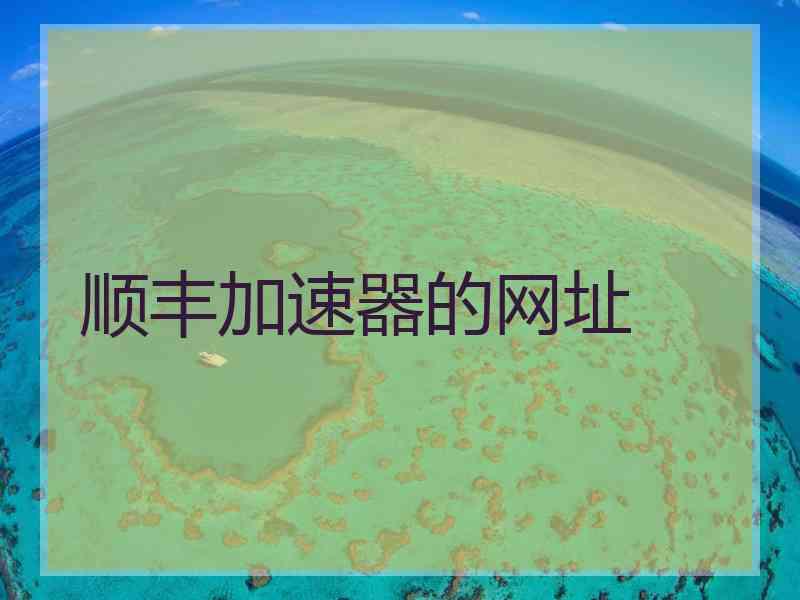 顺丰加速器的网址 顺丰加速器的网址