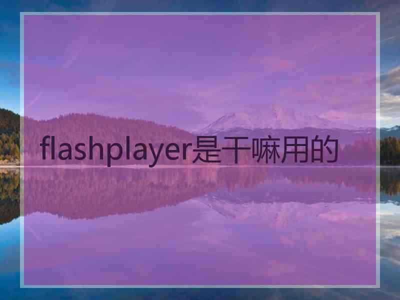 flashplayer是干嘛用的 flashplayer是干嘛用的