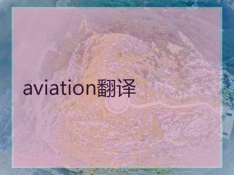 aviation翻译 aviation翻译