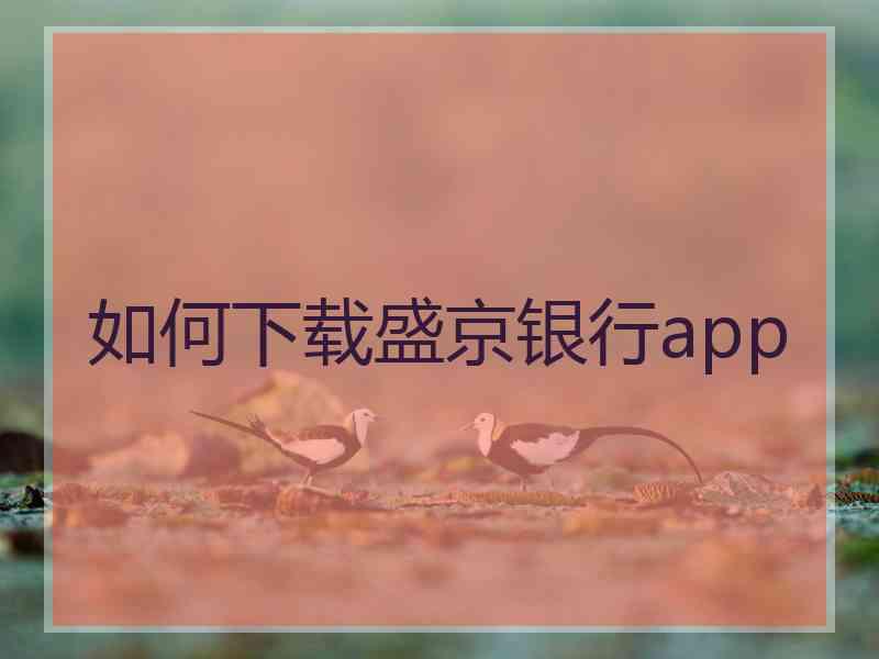 如何下载盛京银行app 如何下载盛京银行app