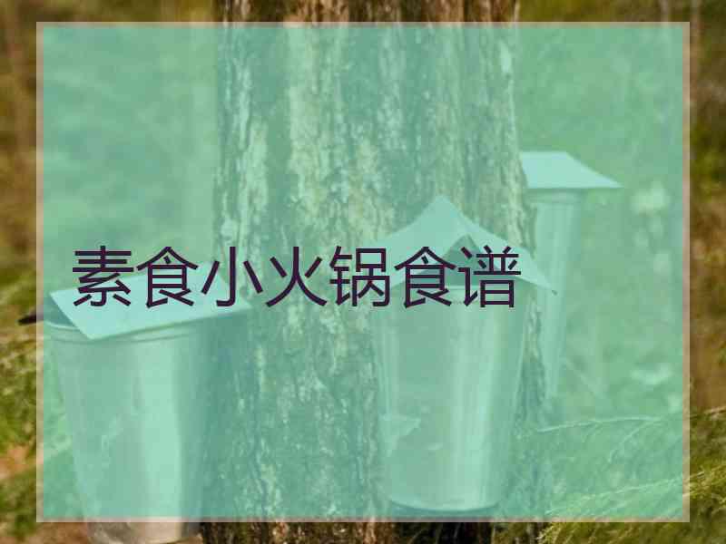 素食小火锅食谱 素食小火锅食谱
