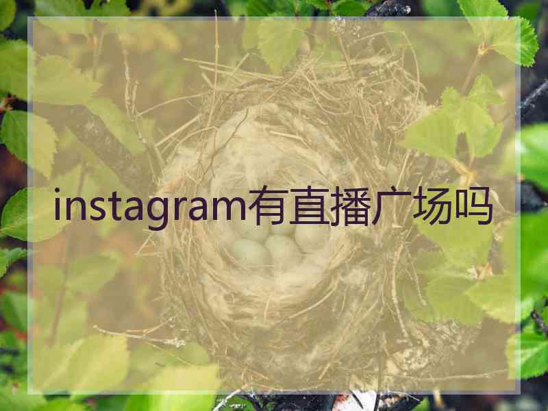 instagram有直播广场吗 instagram有直播广场吗