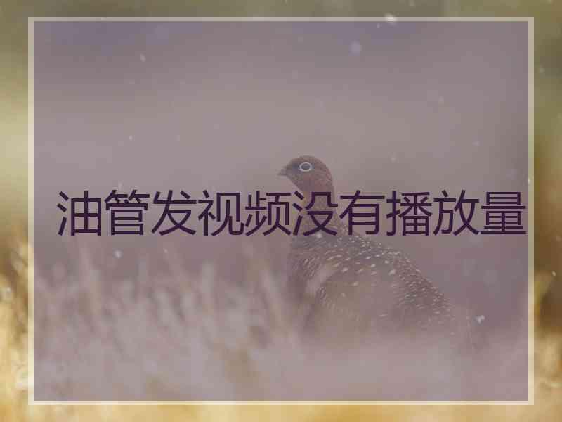 油管发视频没有播放量 油管发视频没有播放量