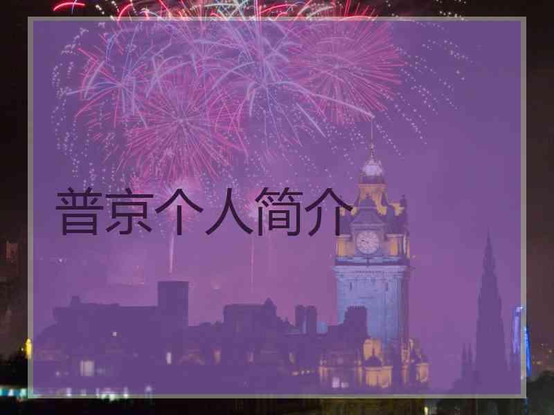 普京个人简介 普京个人简介