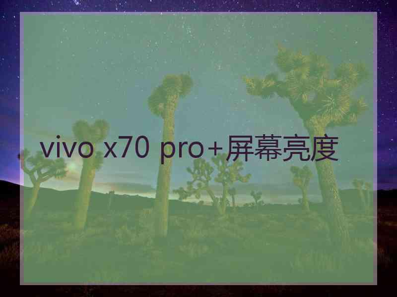 vivo x70 pro+屏幕亮度 vivo x70 pro+屏幕亮度