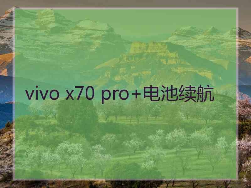 vivo x70 pro+电池续航 vivo x70 pro+电池续航