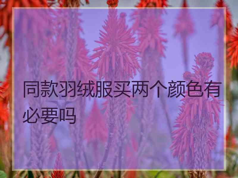 同款羽绒服买两个颜色有必要吗 同款羽绒服买两个颜色有必要吗