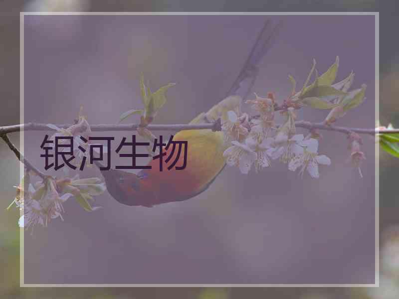 银河生物 银河生物
