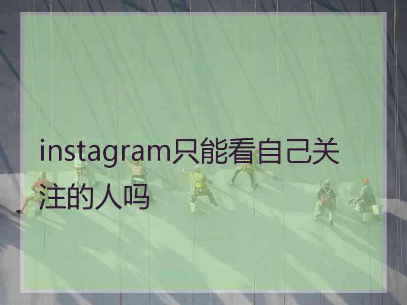 instagram只能看自己关注的人吗 instagram只能看自己关注的人吗