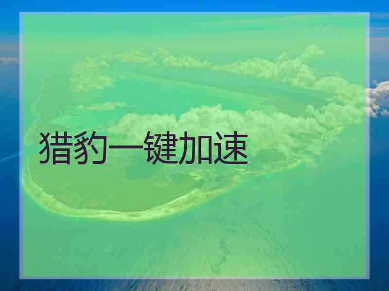 猎豹一键加速 猎豹一键加速