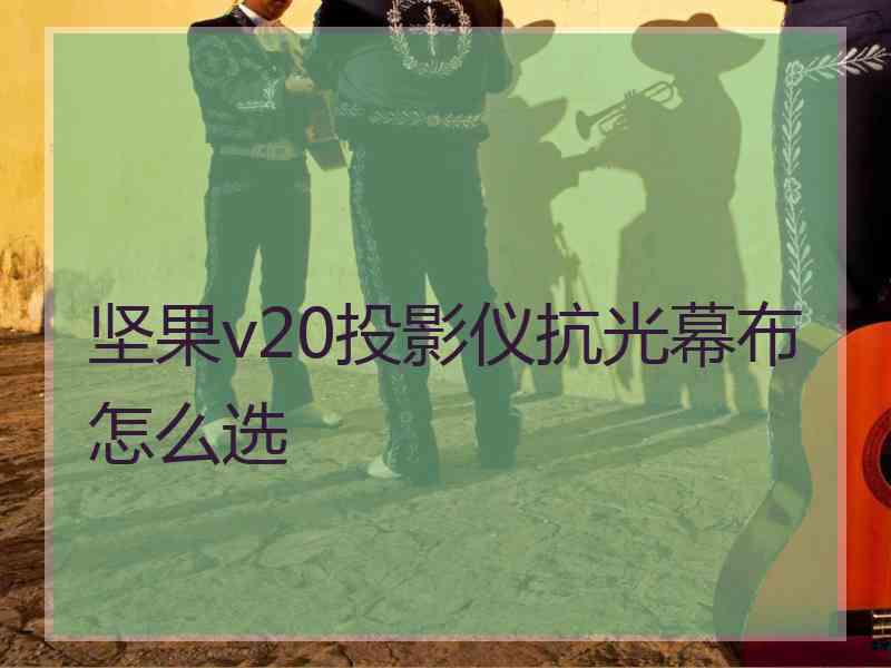 坚果v20投影仪抗光幕布怎么选 坚果v20投影仪抗光幕布怎么选