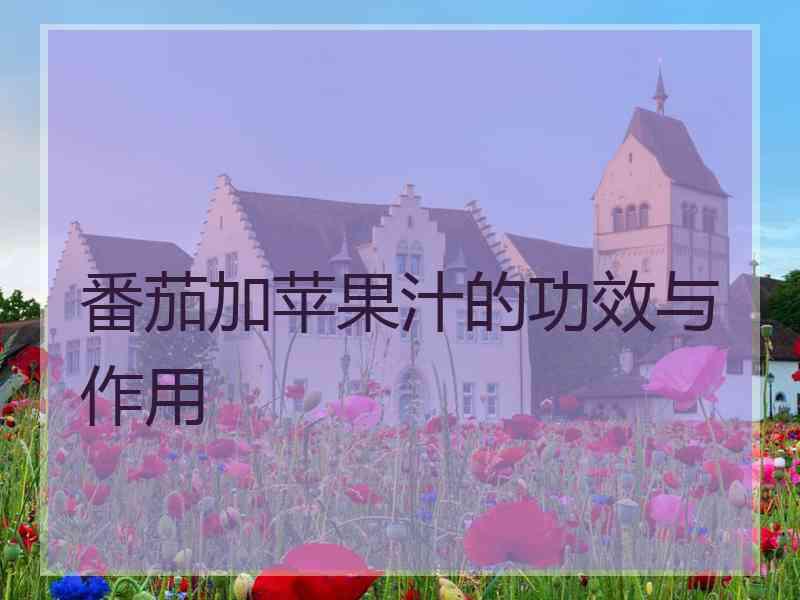 番茄加苹果汁的功效与作用 番茄加苹果汁的功效与作用