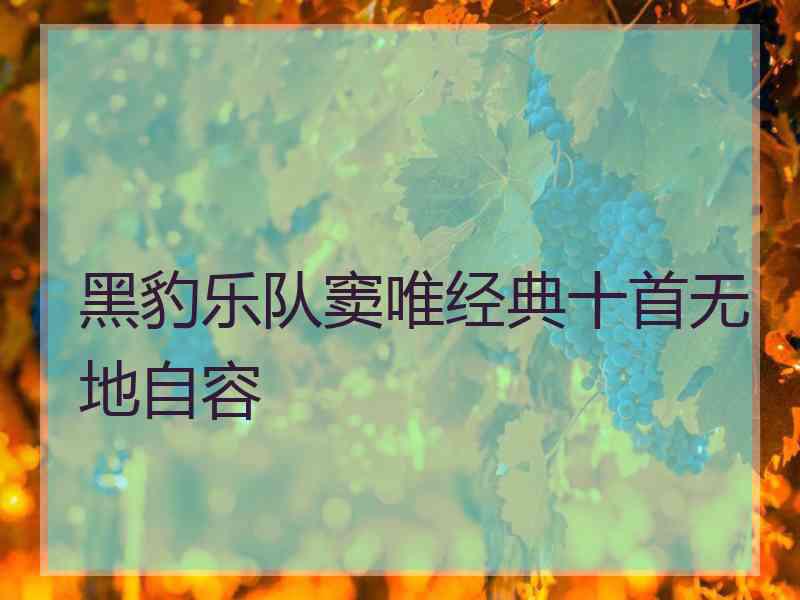 黑豹乐队窦唯经典十首无地自容 黑豹乐队窦唯经典十首无地自容