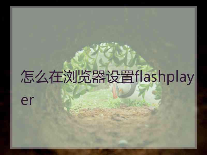 怎么在浏览器设置flashplayer 怎么在浏览器设置flashplayer