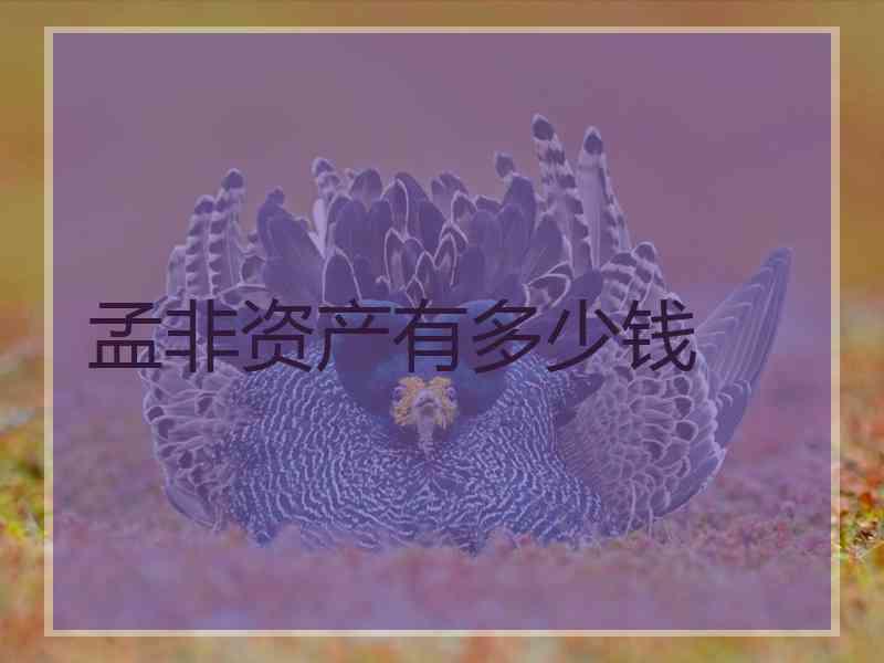 孟非资产有多少钱 孟非资产有多少钱