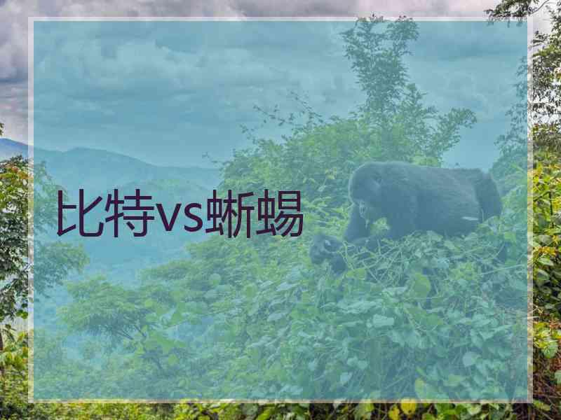 比特vs蜥蜴 比特vs蜥蜴