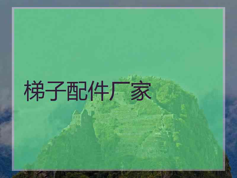 梯子配件厂家 梯子配件厂家