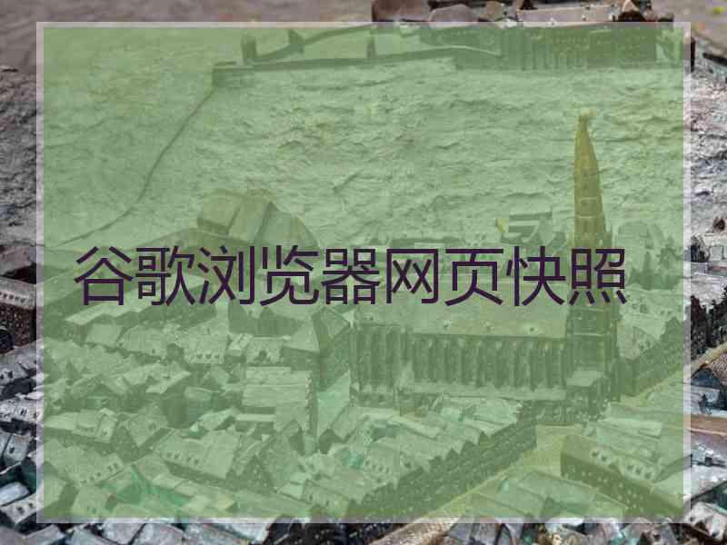 谷歌浏览器网页快照 谷歌浏览器网页快照