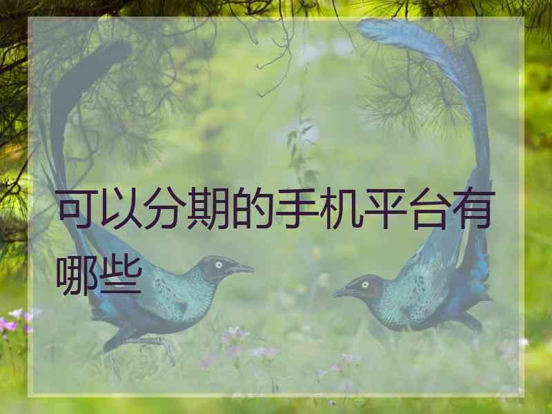 可以分期的手机平台有哪些 可以分期的手机平台有哪些