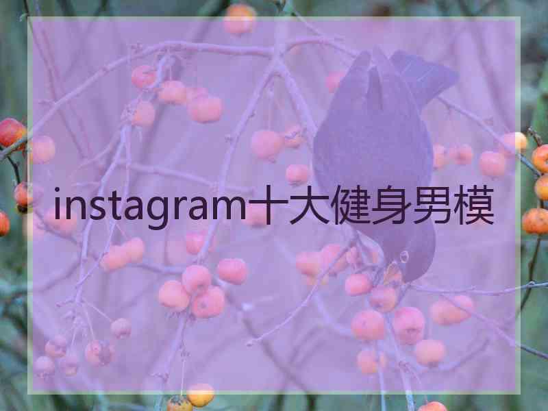 instagram十大健身男模 instagram十大健身男模