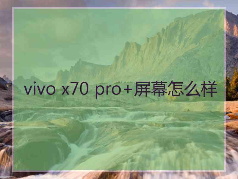 vivo x70 pro+屏幕怎么样 vivo x70 pro+屏幕怎么样