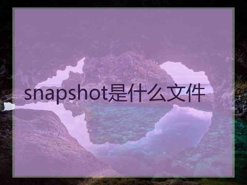 snapshot是什么文件 snapshot是什么文件