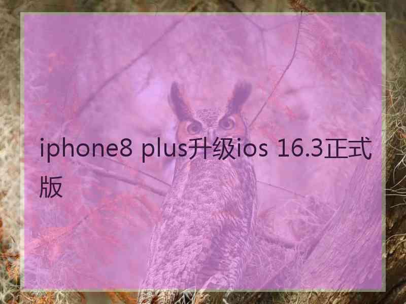 iphone8 plus升级ios 16.3正式版 iphone8 plus升级ios 16.3正式版