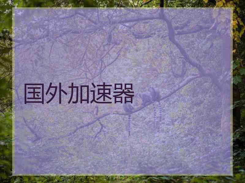 国外加速器 国外加速器