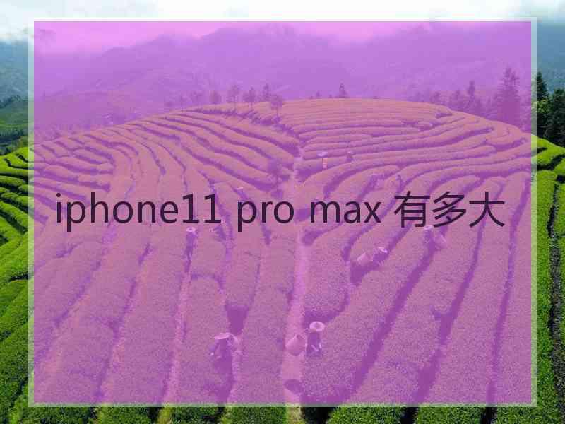 iphone11 pro max 有多大 iphone11 pro max 有多大