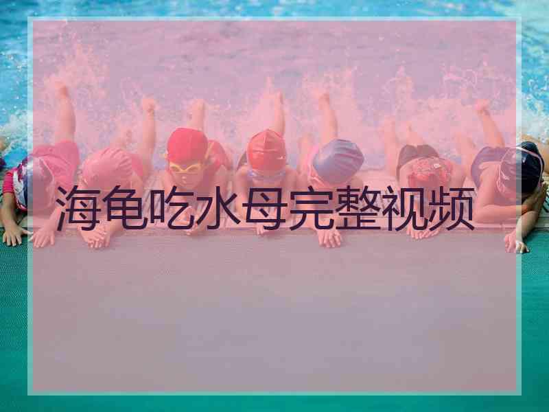 海龟吃水母完整视频 海龟吃水母完整视频