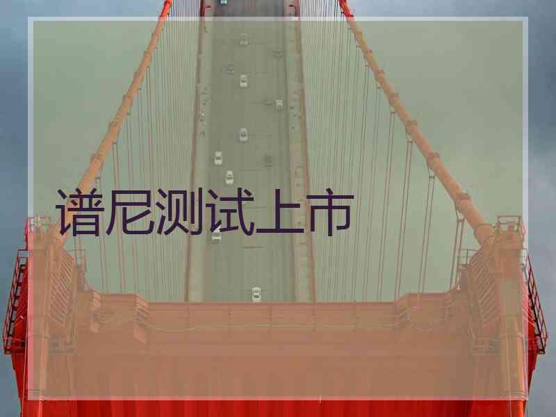 谱尼测试上市 谱尼测试上市