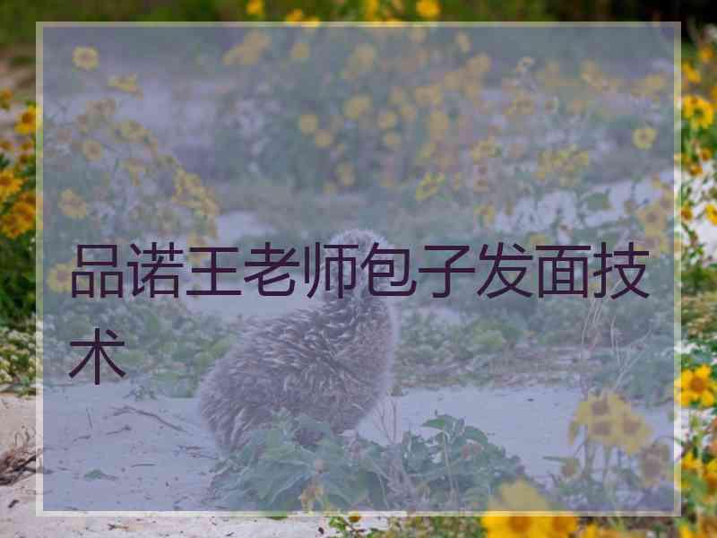 品诺王老师包子发面技术 品诺王老师包子发面技术