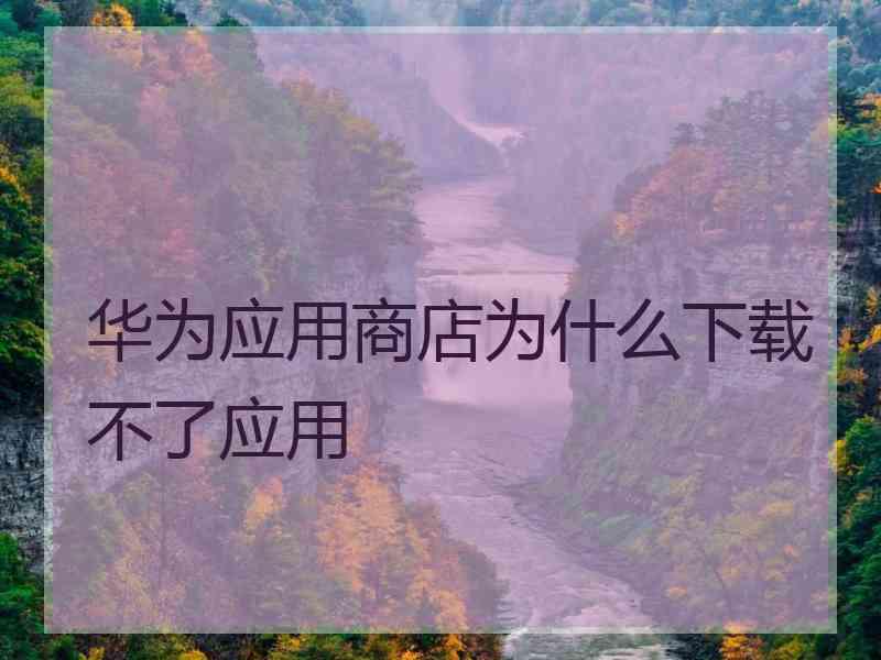 华为应用商店为什么下载不了应用 华为应用商店为什么下载不了应用