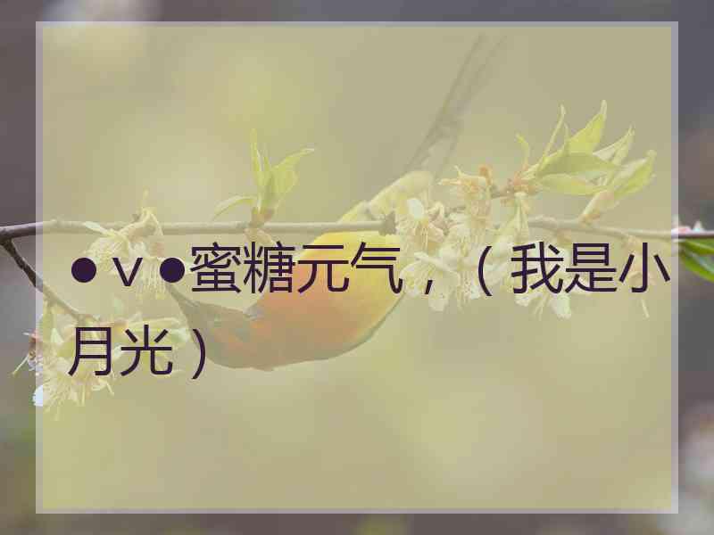 ●v●蜜糖元气,(我是小月光) ●v●蜜糖元气,(我是小月光)